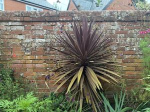 Photo 14- click for photo gallery